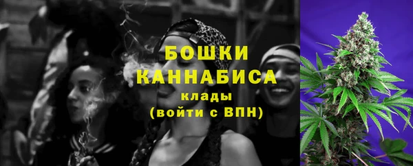 СК Зеленодольск