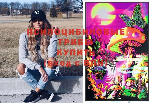 СК Зеленодольск