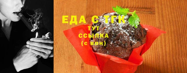индика Покачи